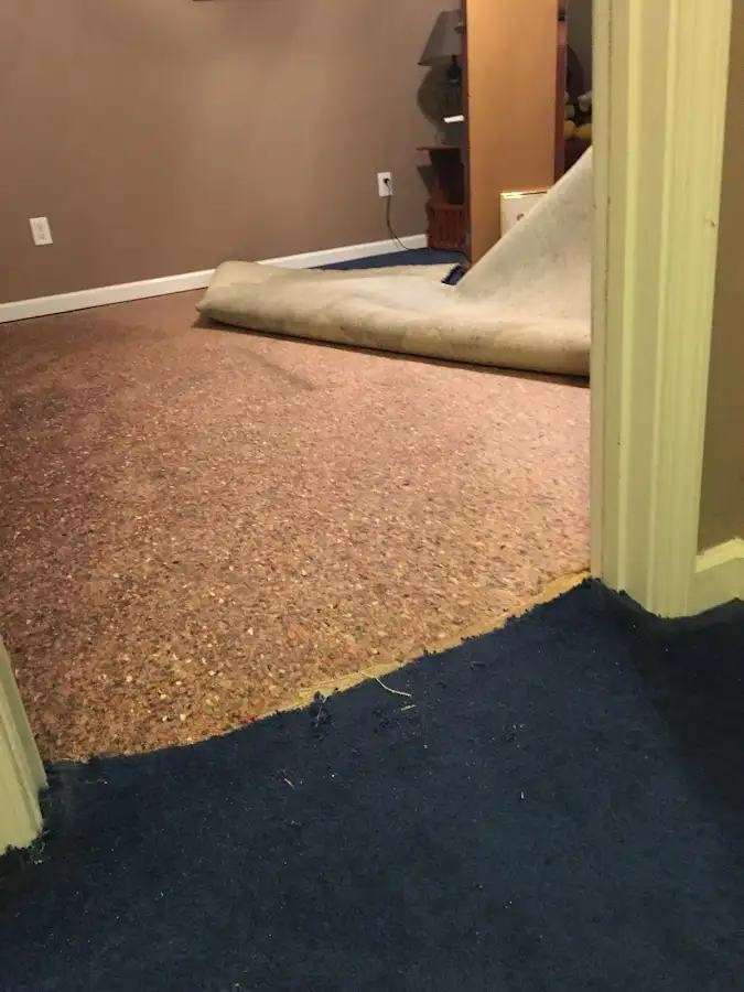 Carpet pad removal revealing water damage during Drying & Dehumidification in Dakota Ridge