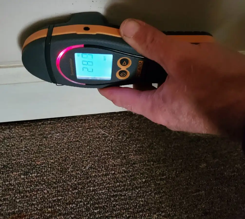 Moisture detection at baseboard during Sewage Cleanup & Sanitation in Dakota Ridge